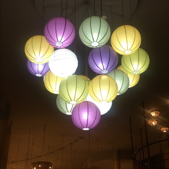 Meet your Posher, Tia - Picture 1 of 1